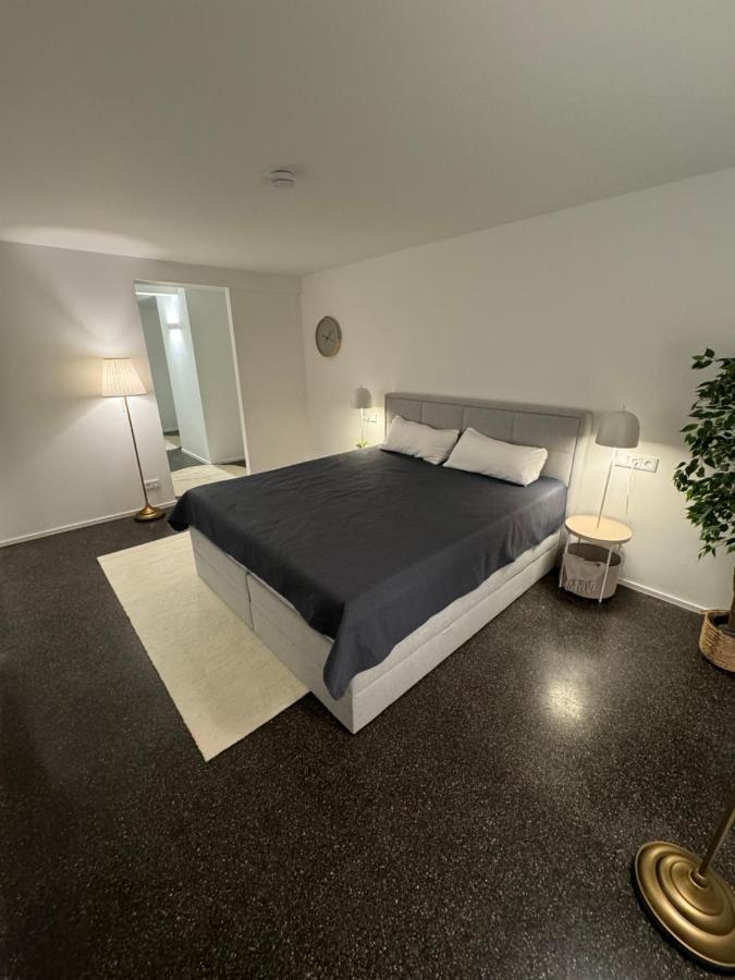 Isaak Appartment Stadtjuwel Waldshut-Tiengen Exterior foto