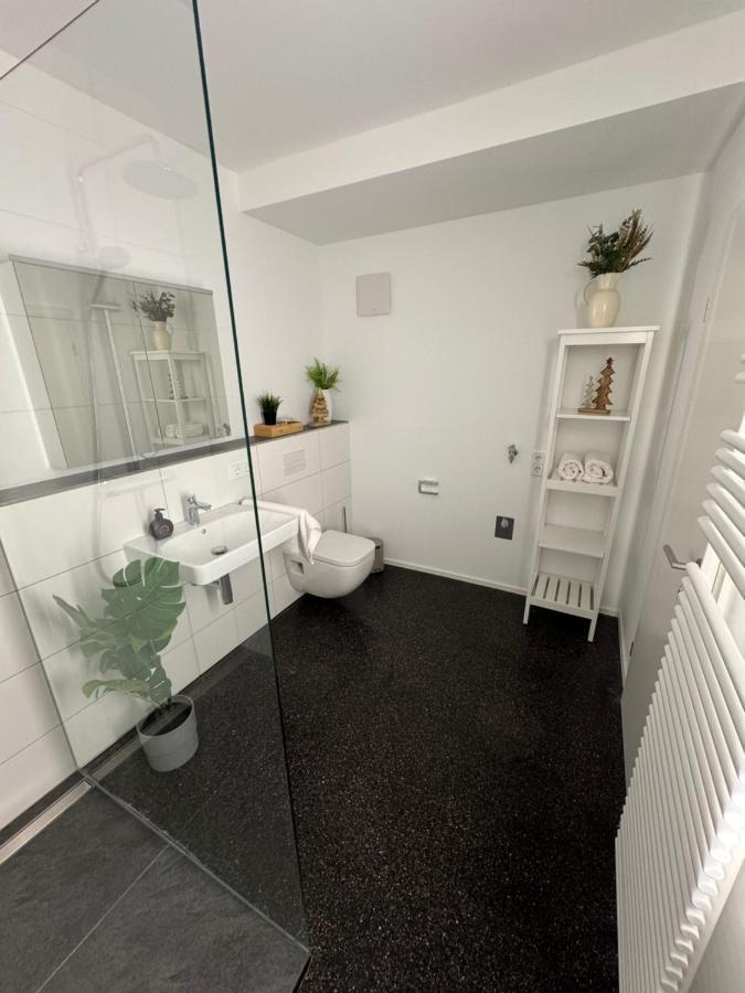 Isaak Appartment Stadtjuwel Waldshut-Tiengen Exterior foto