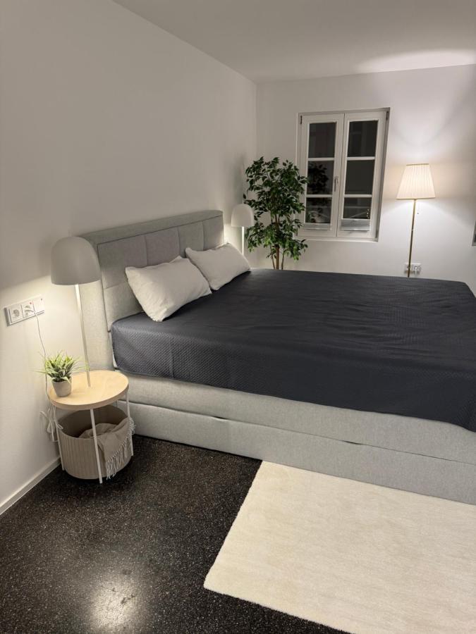Isaak Appartment Stadtjuwel Waldshut-Tiengen Exterior foto